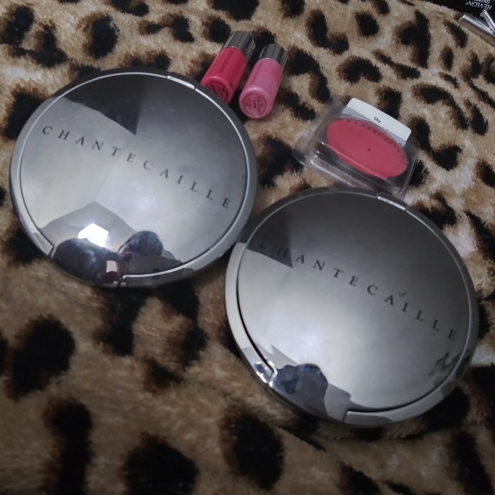 Chantecaille bundle